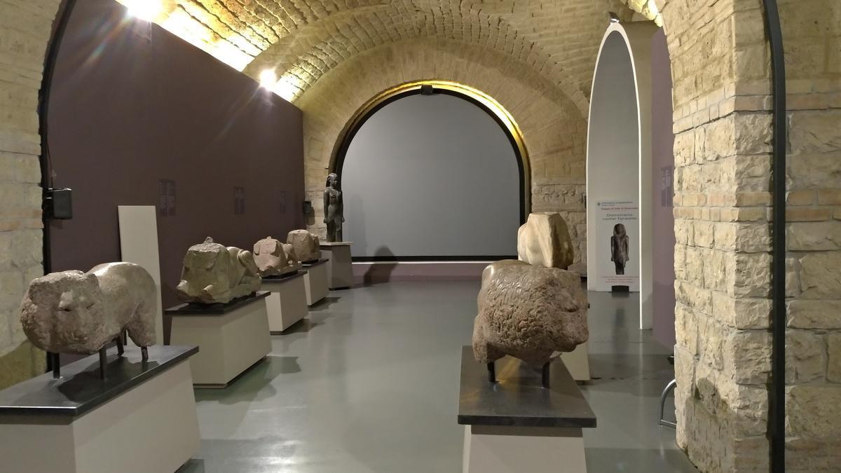 Museo Arcos