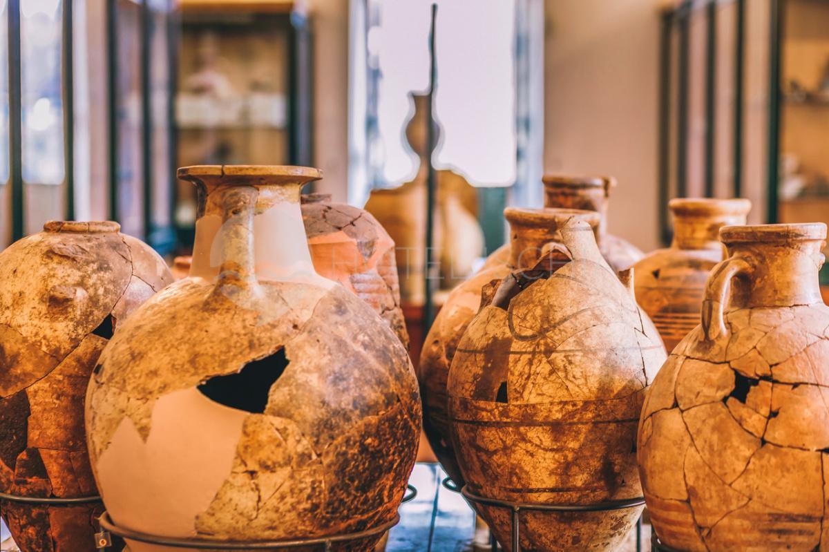 Museo di Pithecusae e Villa Arbusto